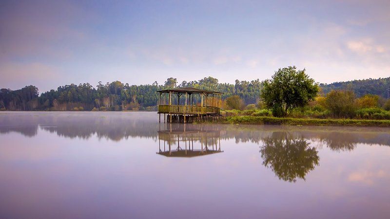 Coreto фото превью