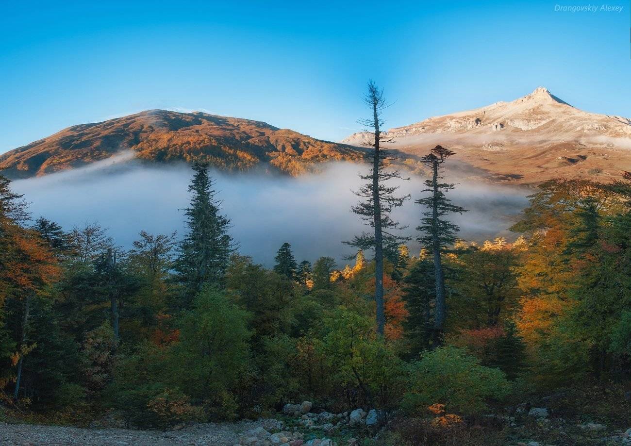 , Алексей Дранговский