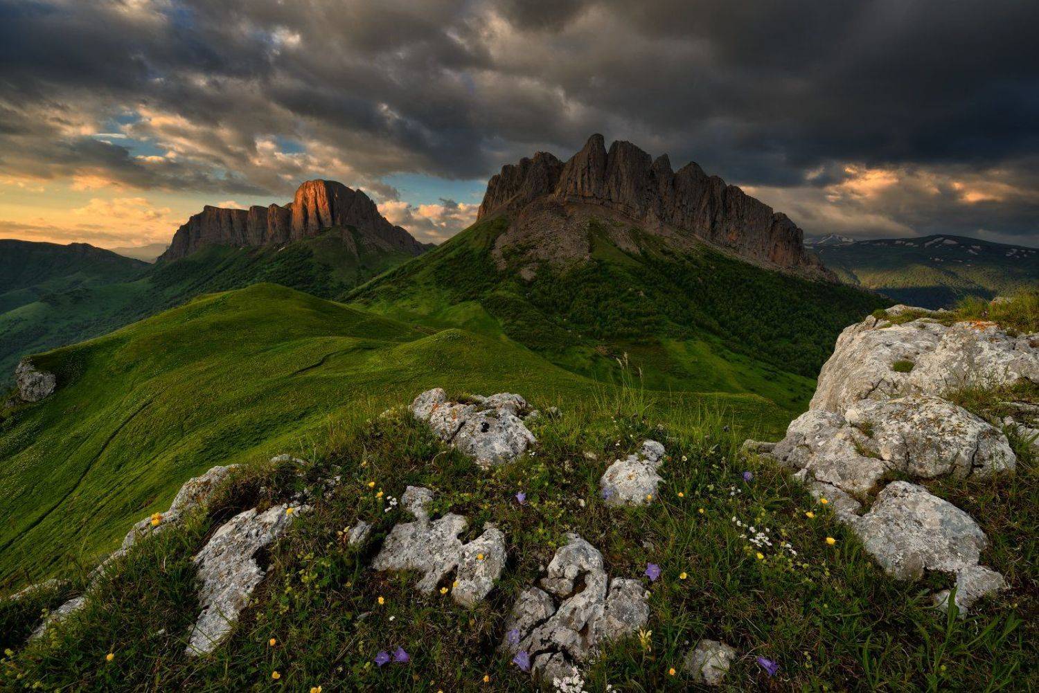 , Максим Евдокимов