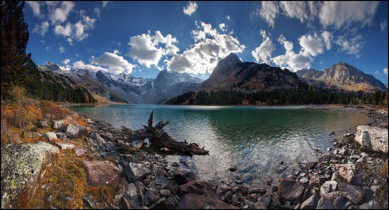 Алтай, Верхнемультинское Озеро, Горы, Коряга, Ярославский Виталий Верхнемультинское фото превью