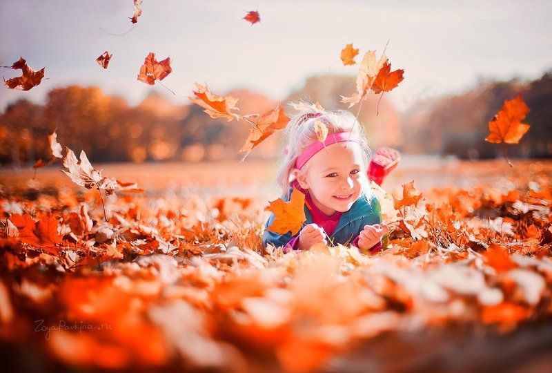 Осень фото превью