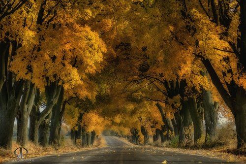 autumn colors...