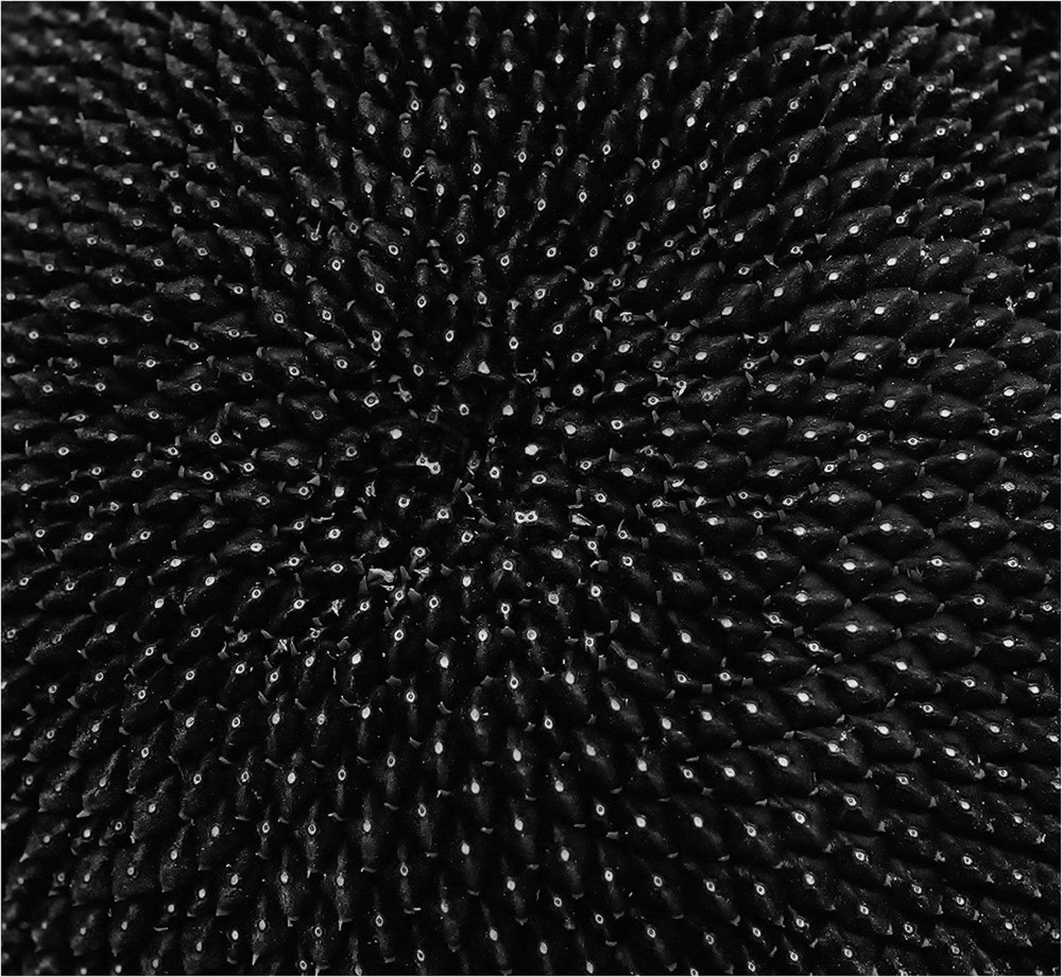 , Сергей Дымченко