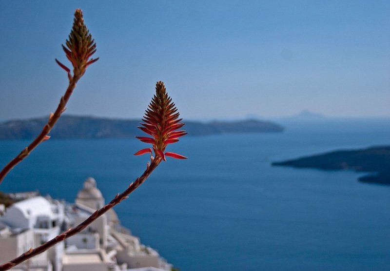Санторини, Греция фото превью