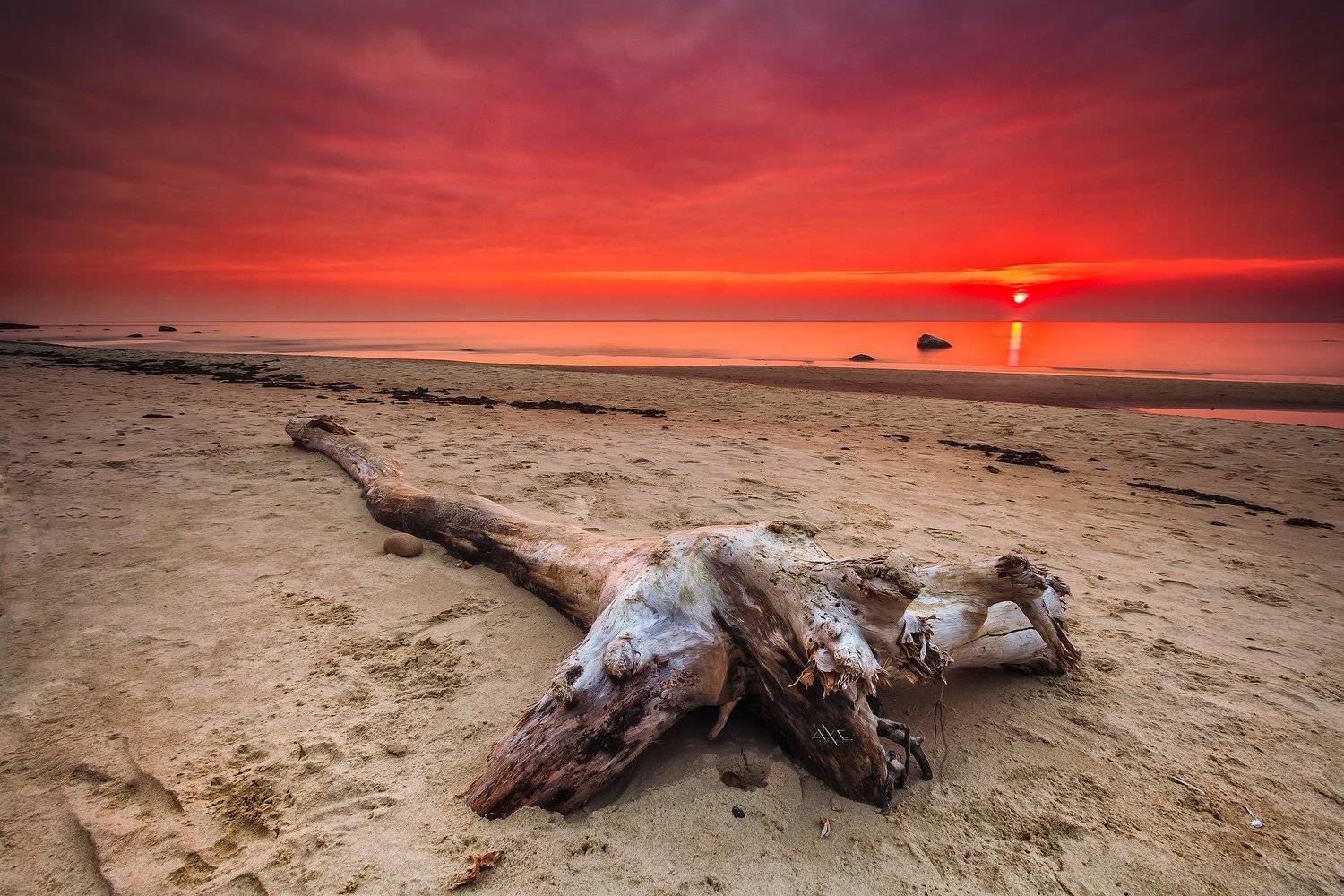 Baltic Sea, Colors, Lithuania, Sunset, Tree, Руслан Болгов (Axe)