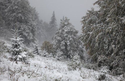 Однажды в октябре.