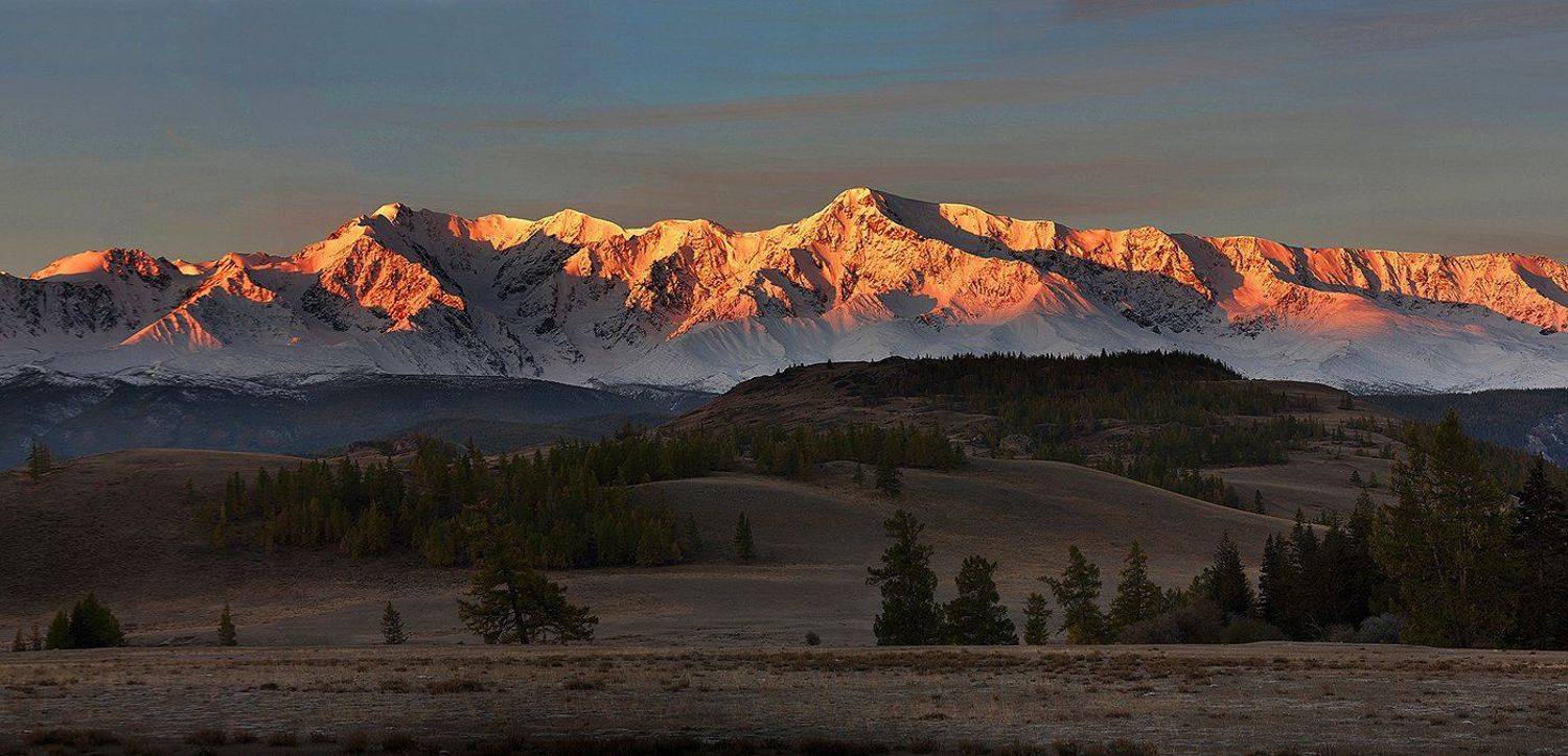 , Алексей Родак