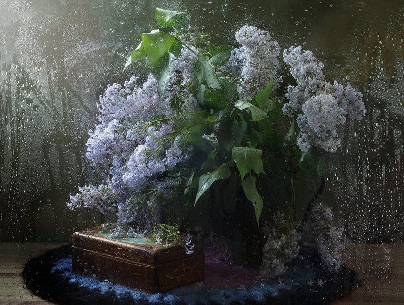 натюрморт, сирень, капли, мокрое стекло, шкатулка, весна, дождь Про мокрую сирень фото превью