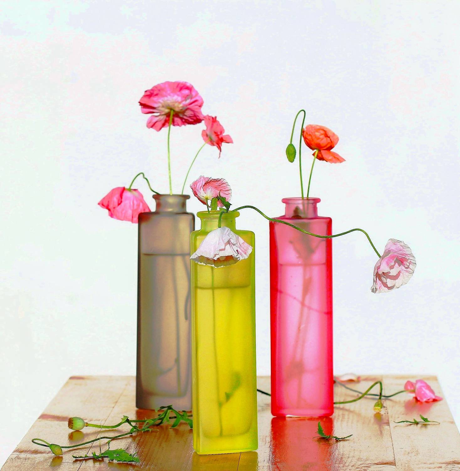 , Наталья Казанцева