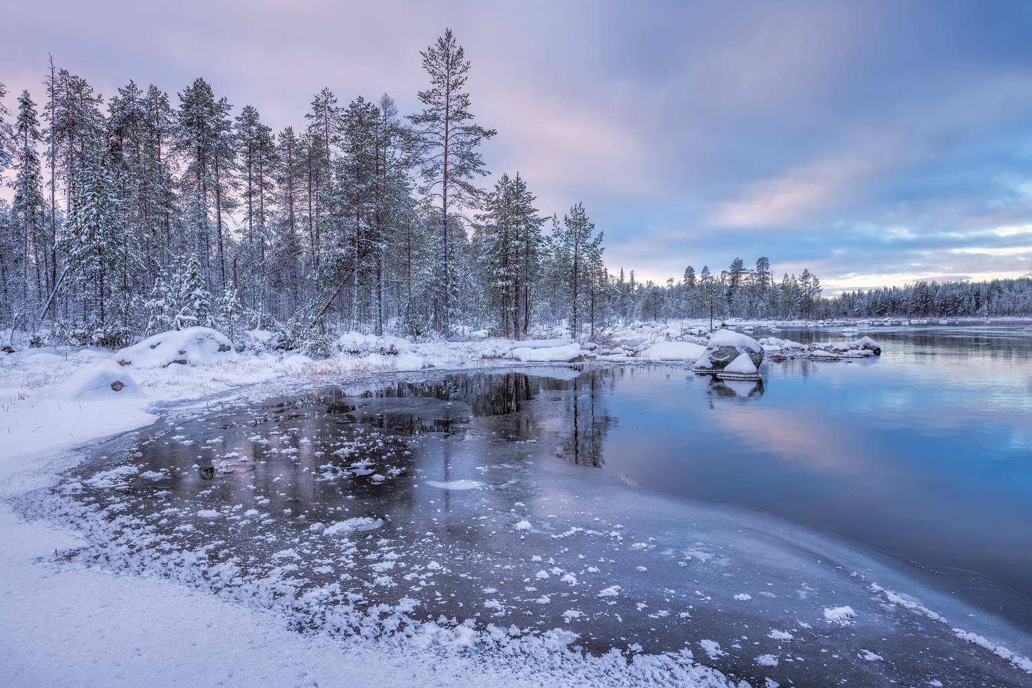 , Максим Евдокимов