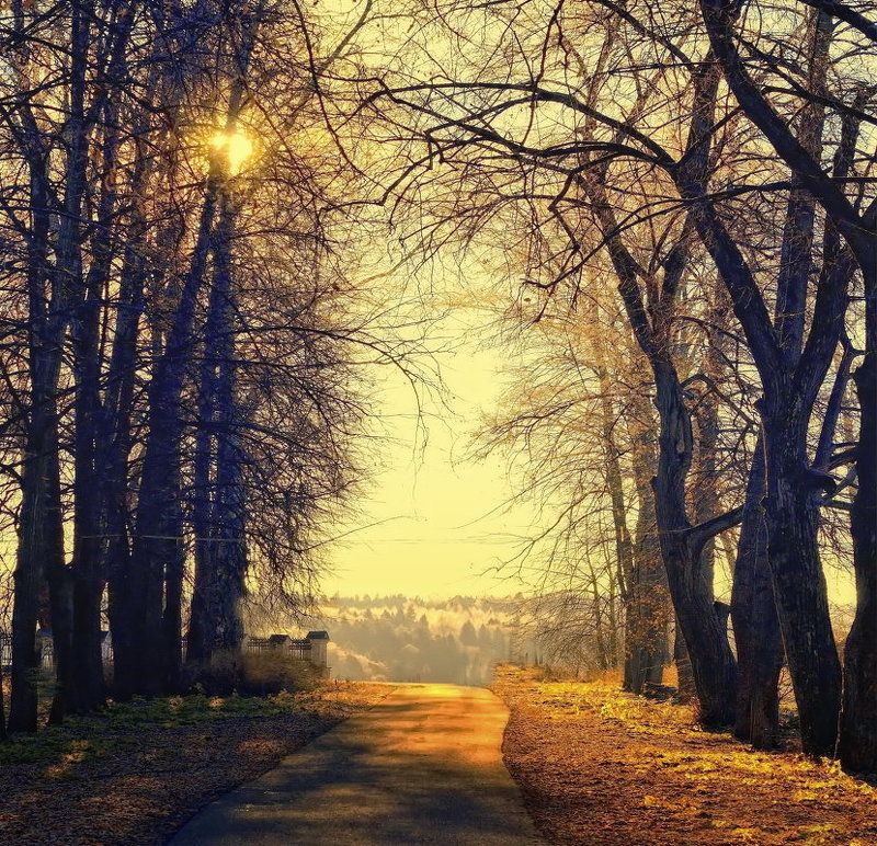 Плес.....Гора Свободы.... фото превью