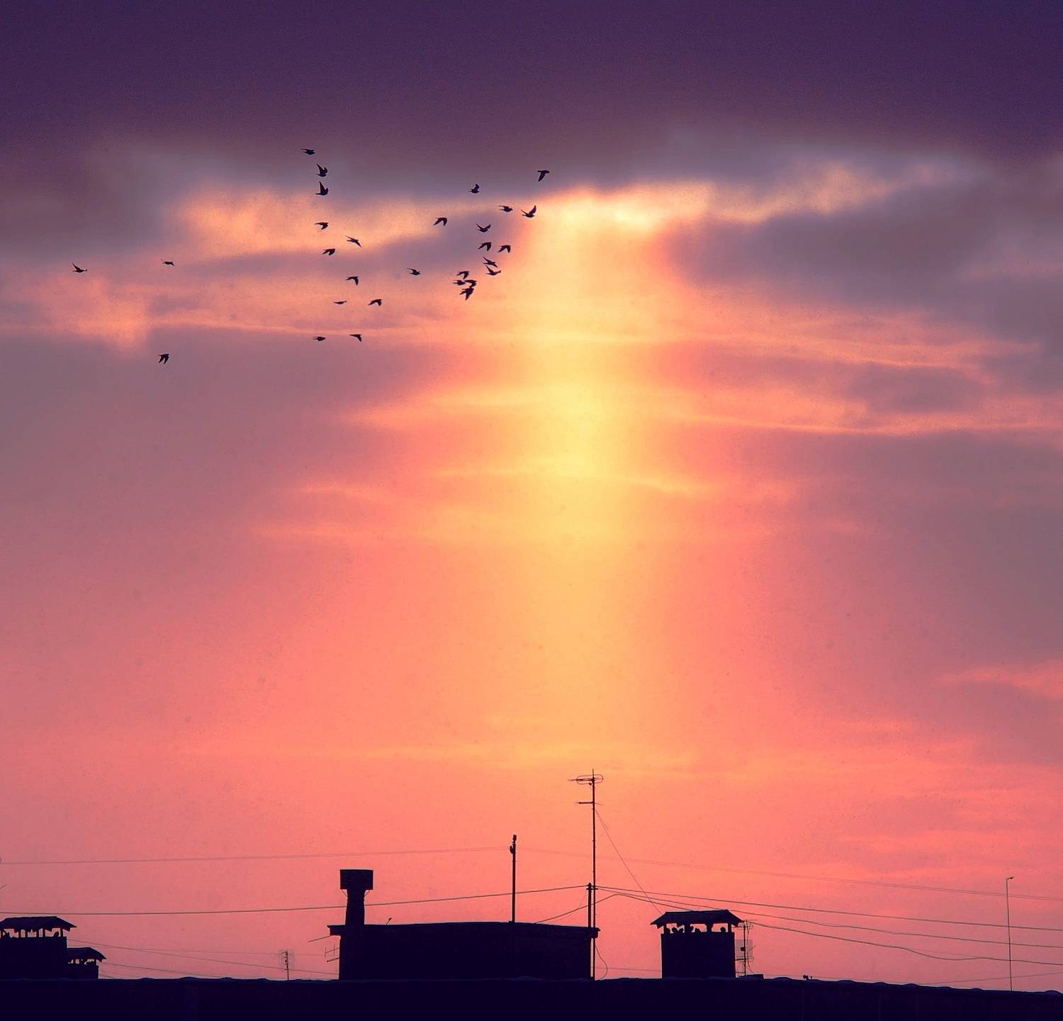 , Шустиков Дмитрий