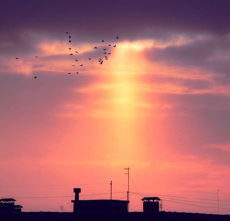 падал редкий снег.., а жизнь стремилась к свету фото превью