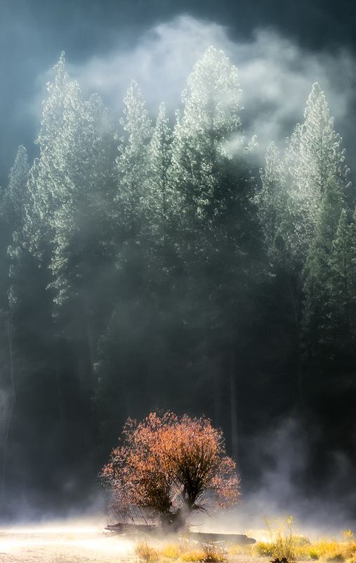 -- фото превью