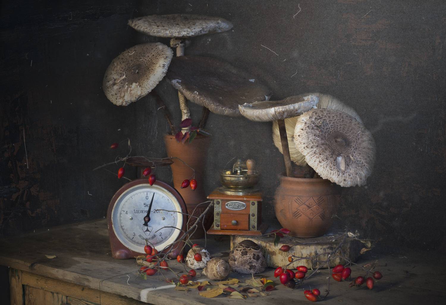 грибы,большие, кувшин, кофемолка, шиповник, весы, Зимина Лионелла