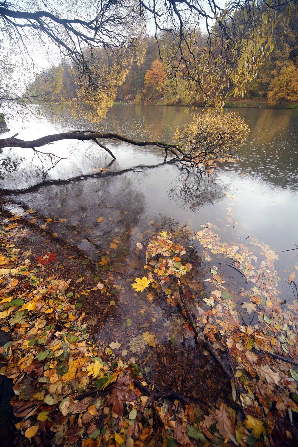 , Бибичков Михаил