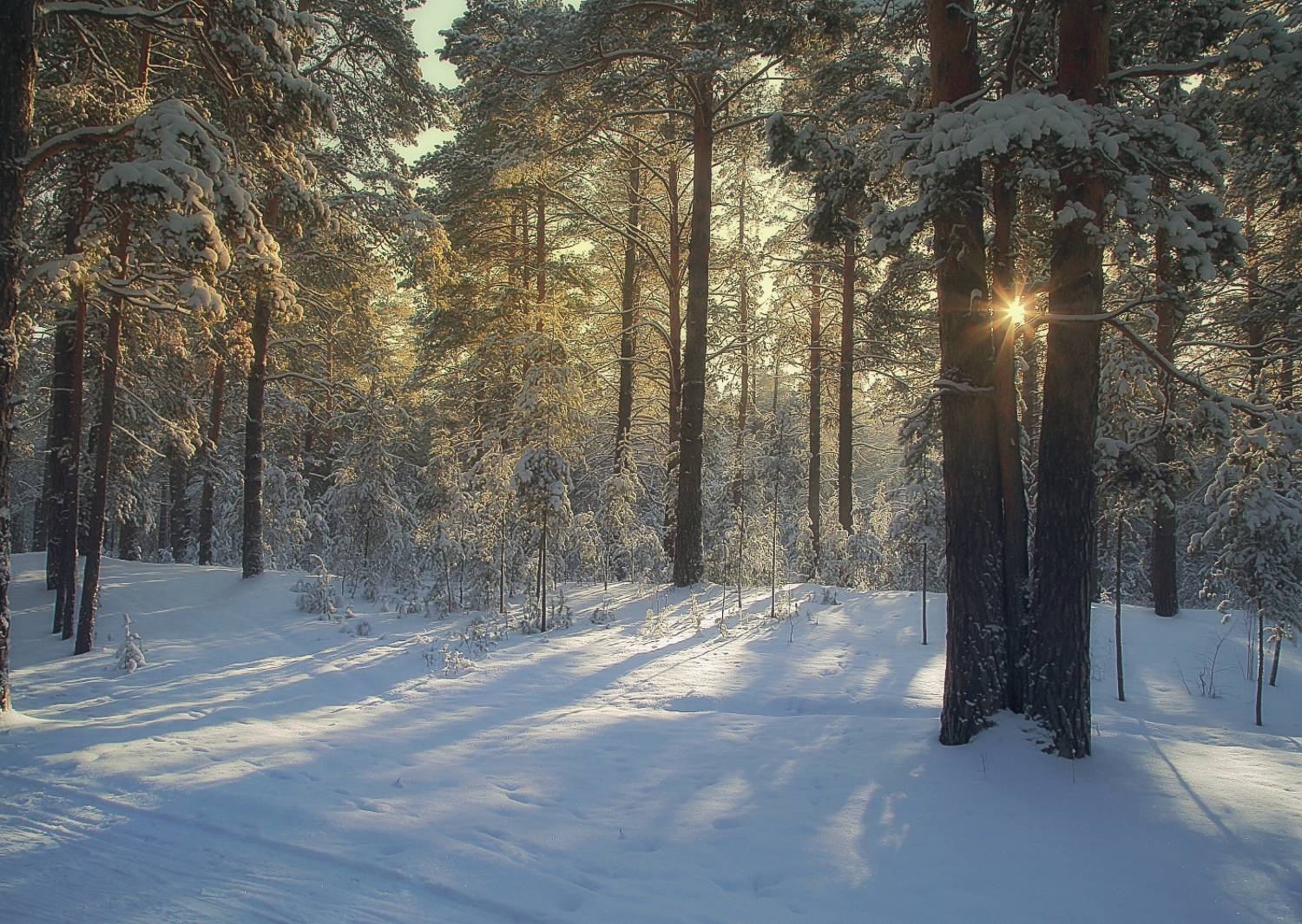 , Евгений Зинов