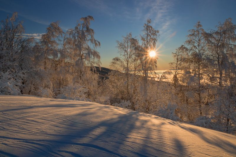 Зима на Витоше фото превью