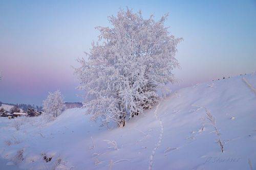 Морозный вечер в селе Кын-Завод