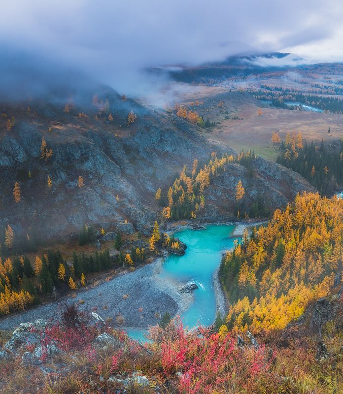 Горный Алтай. Долина р. Аргут. октябрь 23 фото превью