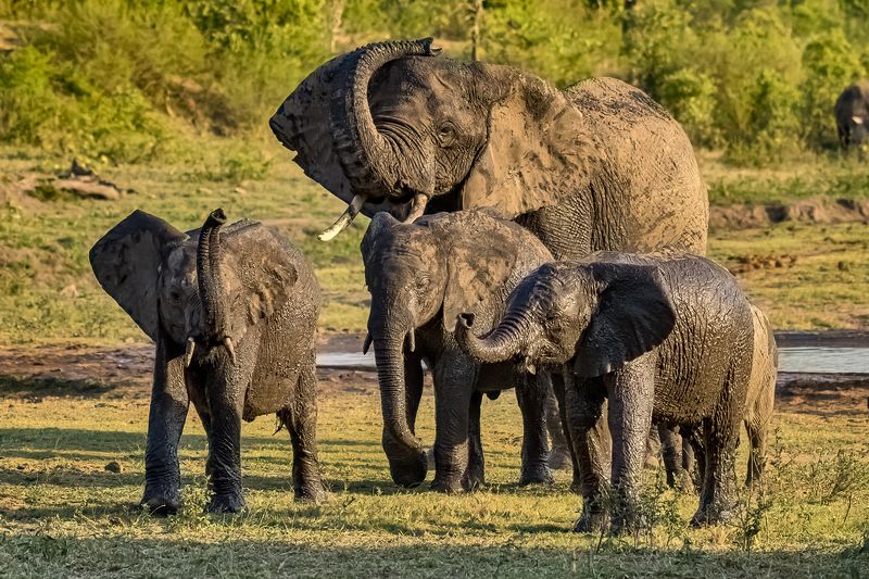 фото превью