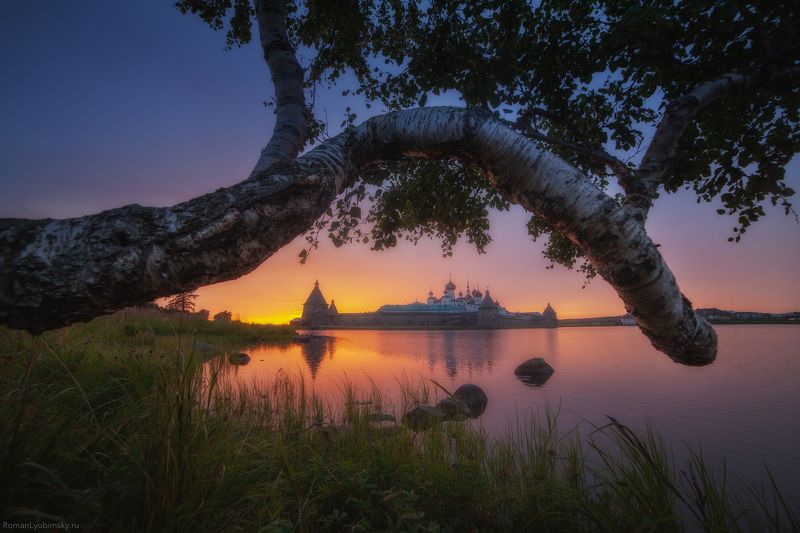 соловки, серев, фототур, монастырь, россия, пейзаж, закат. Закат на соловках фото превью