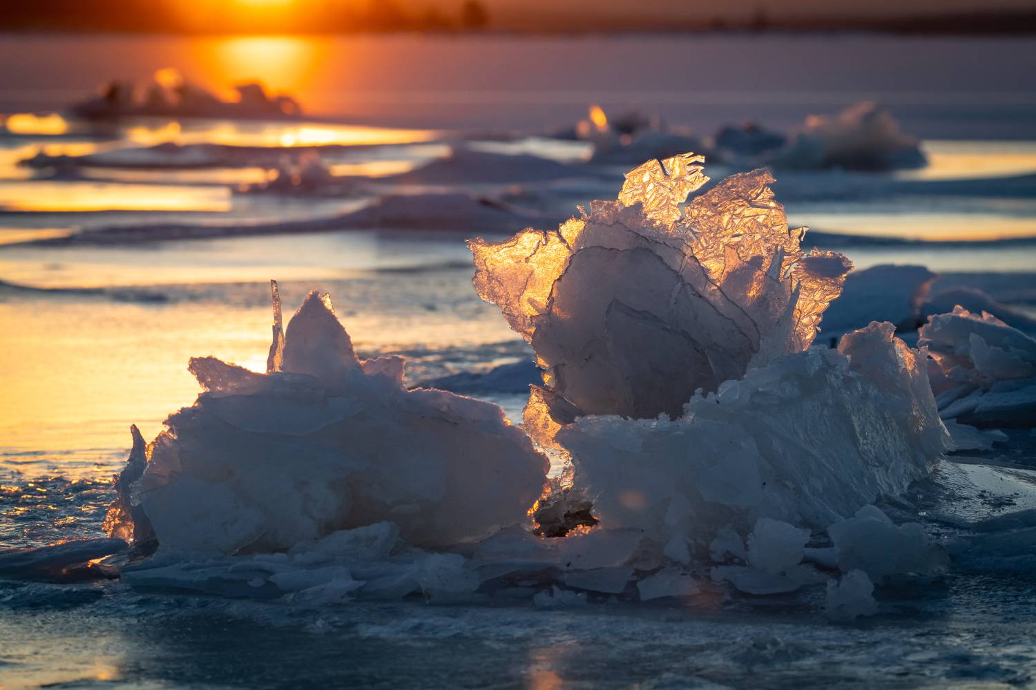 зима, лед, море кольский, закат, Степанова Татьяна