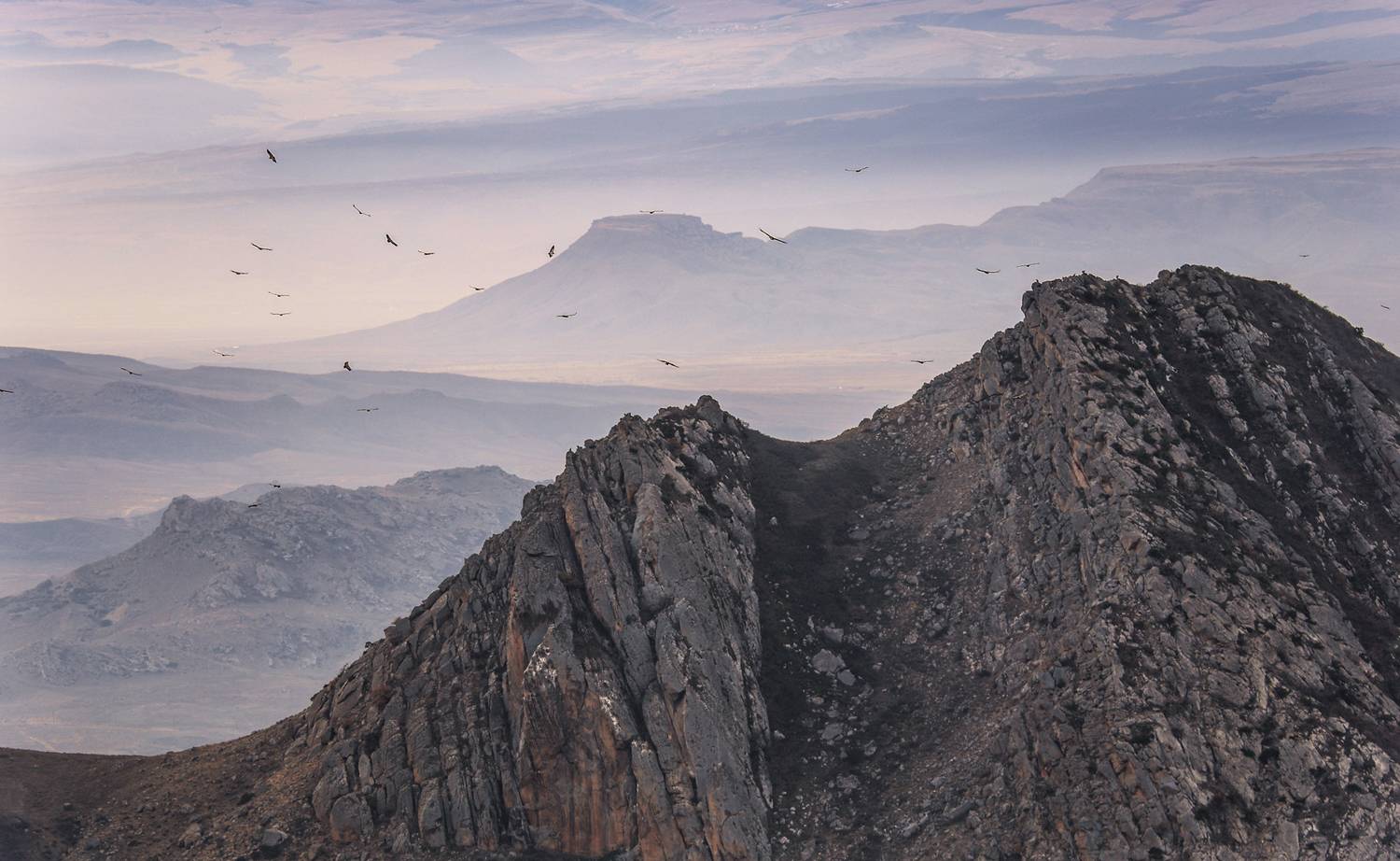 горы,пейзаж,осень,дагестан,грифы,, Magov Marat