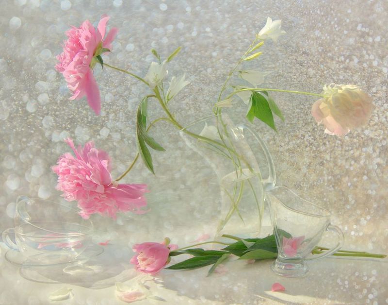 Танцующие пионы фото превью