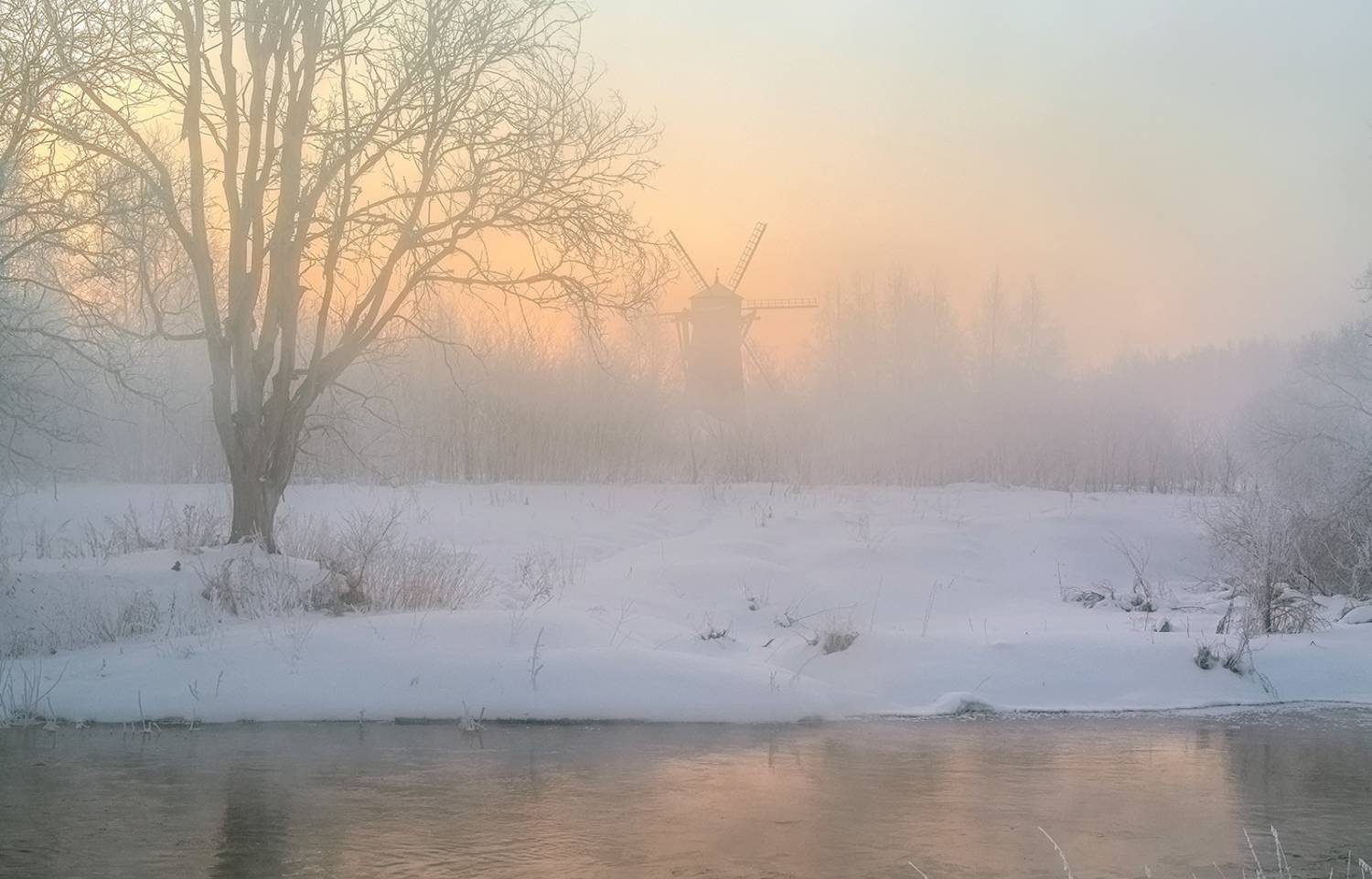 , Анатолий Зверев