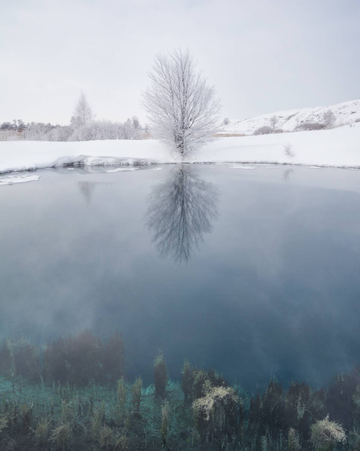 , Алексей Проняхин