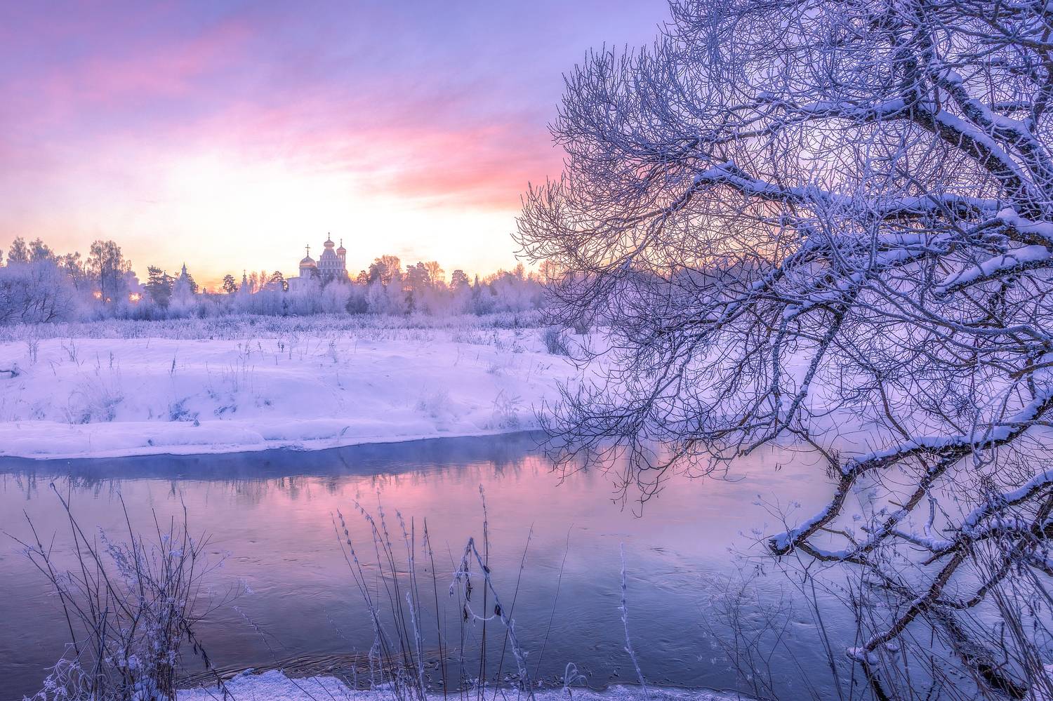 истра, Елена Гусева