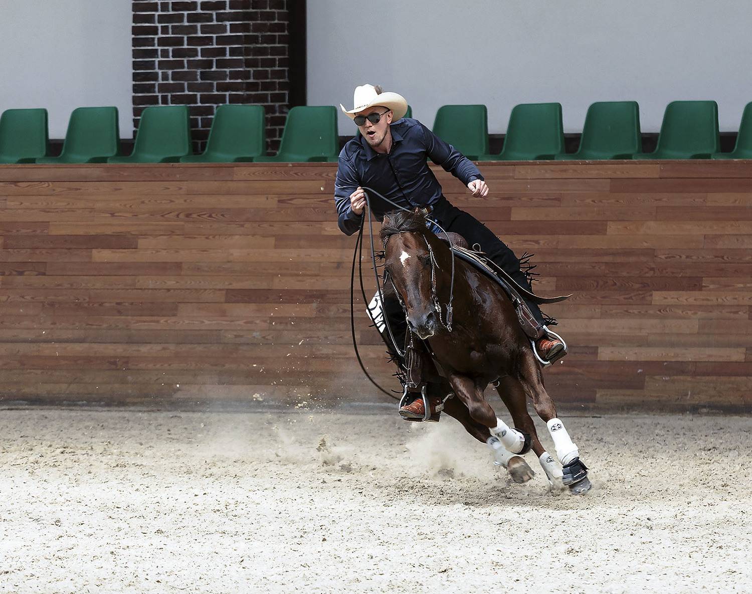 спорт, соревнования, вестерн, competition, sport, horse, movement, emotional, Стукалова Юлия