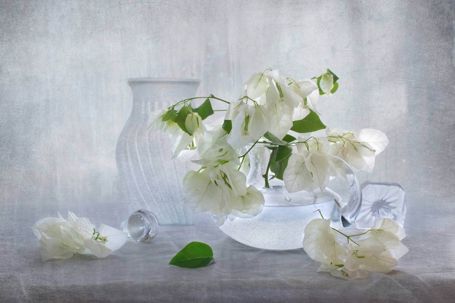 , Людмила Бекман