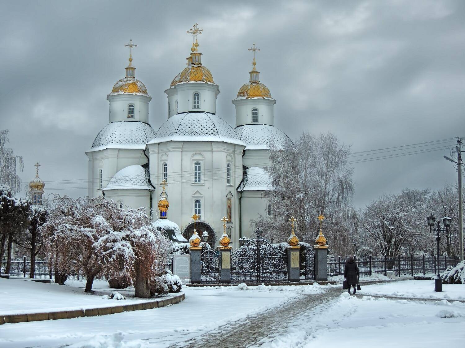 , Савоцкий Роман