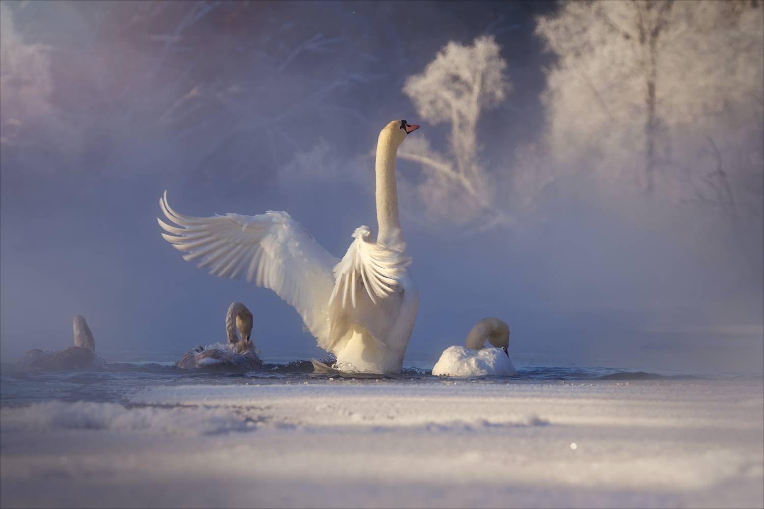 , Богорянов Алексей