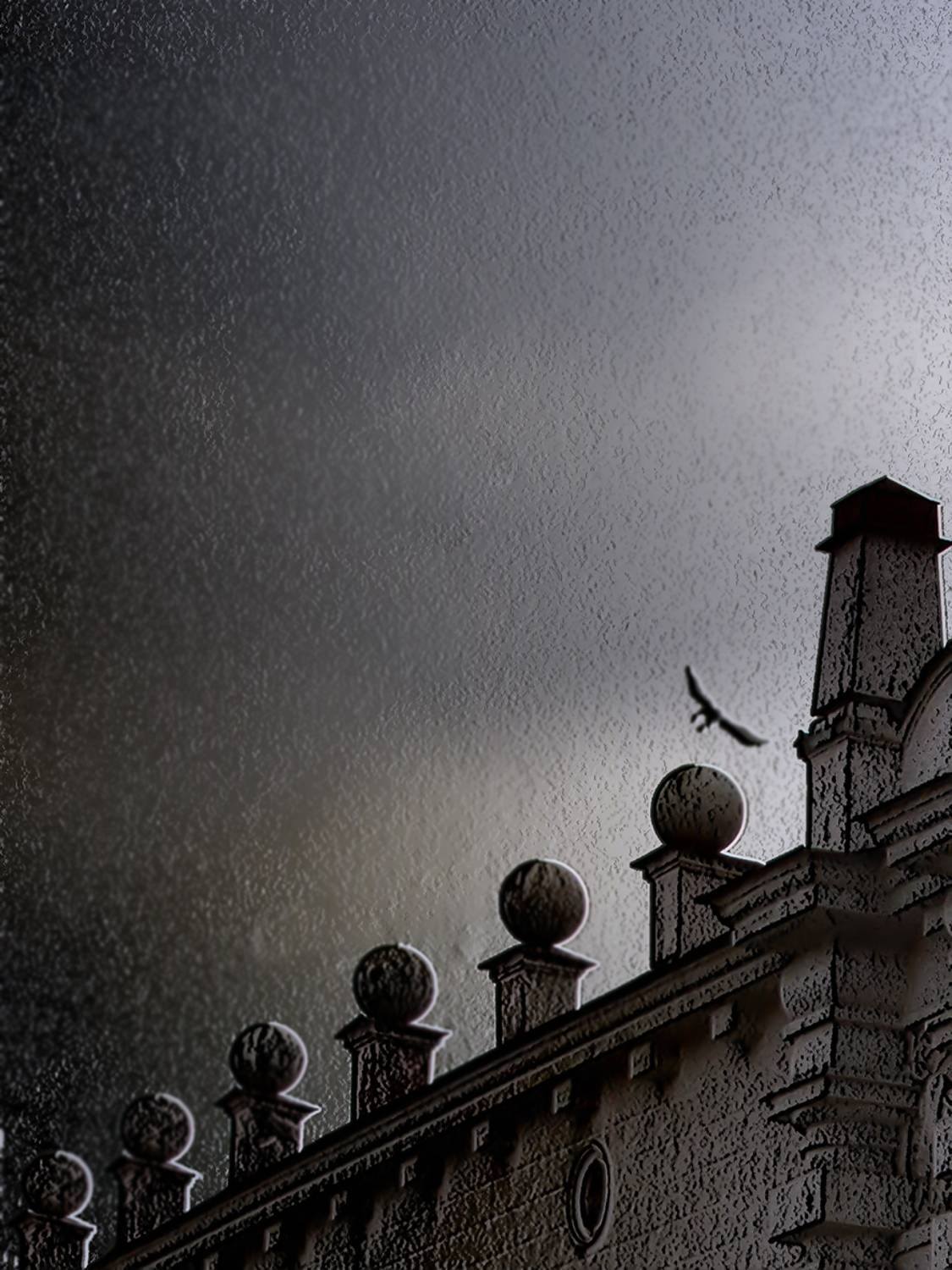 , T. Bondarenko