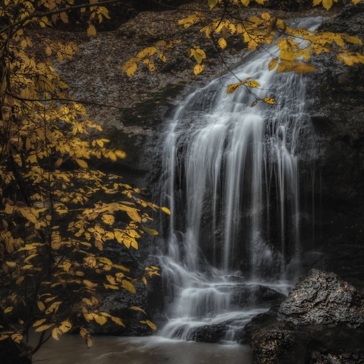 , Олег Дунаев