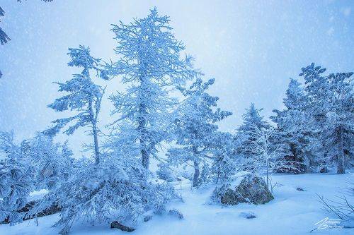 На горе Качканар