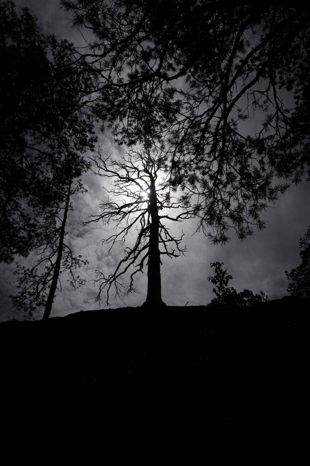 , Савенко Кирилл