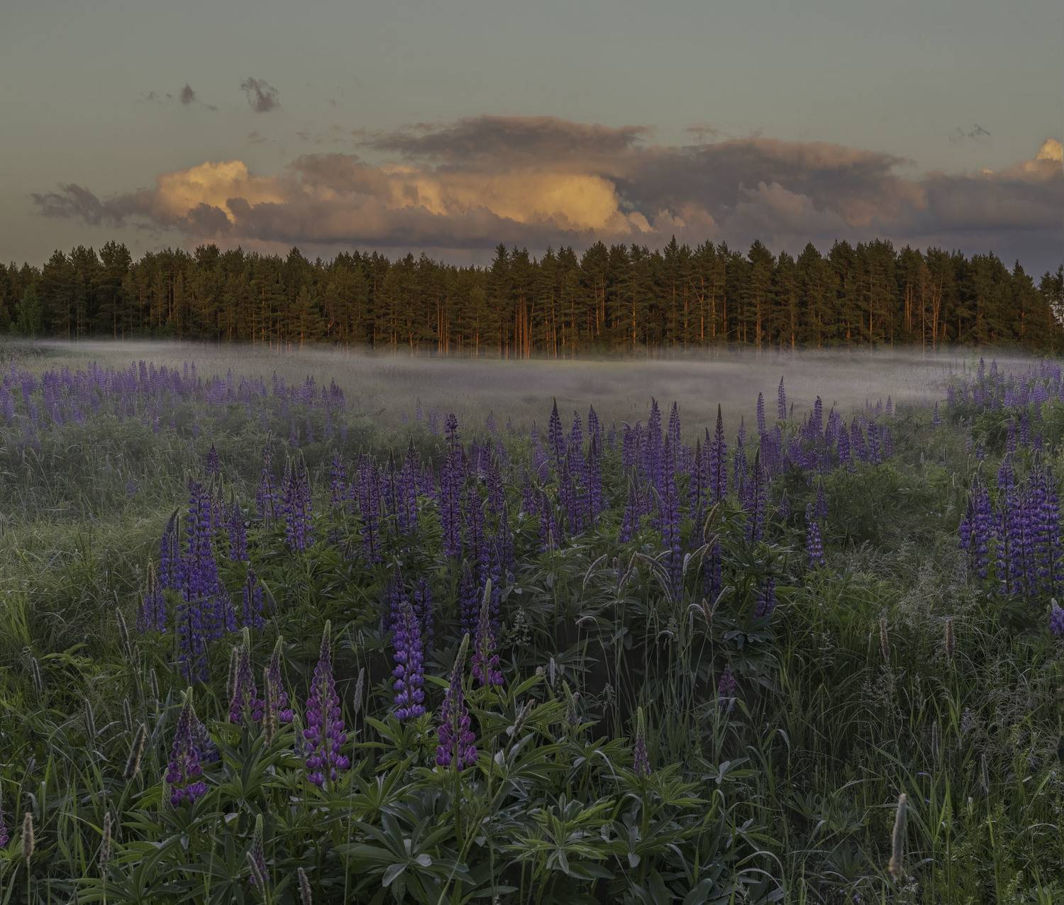 Фототуры с Владимиром Рябковым, #topnature #russpasibo #magic_shots #lovelyRussia #sunset_vision #exclusive_sky  #exclusive_shots #loves_russia2 #photoarena_nature #nature_sultans #nature_perfection #rsa_sky #rsa_sunset #photorussia #rsa_naturepics #sunse, Владимир Рябков