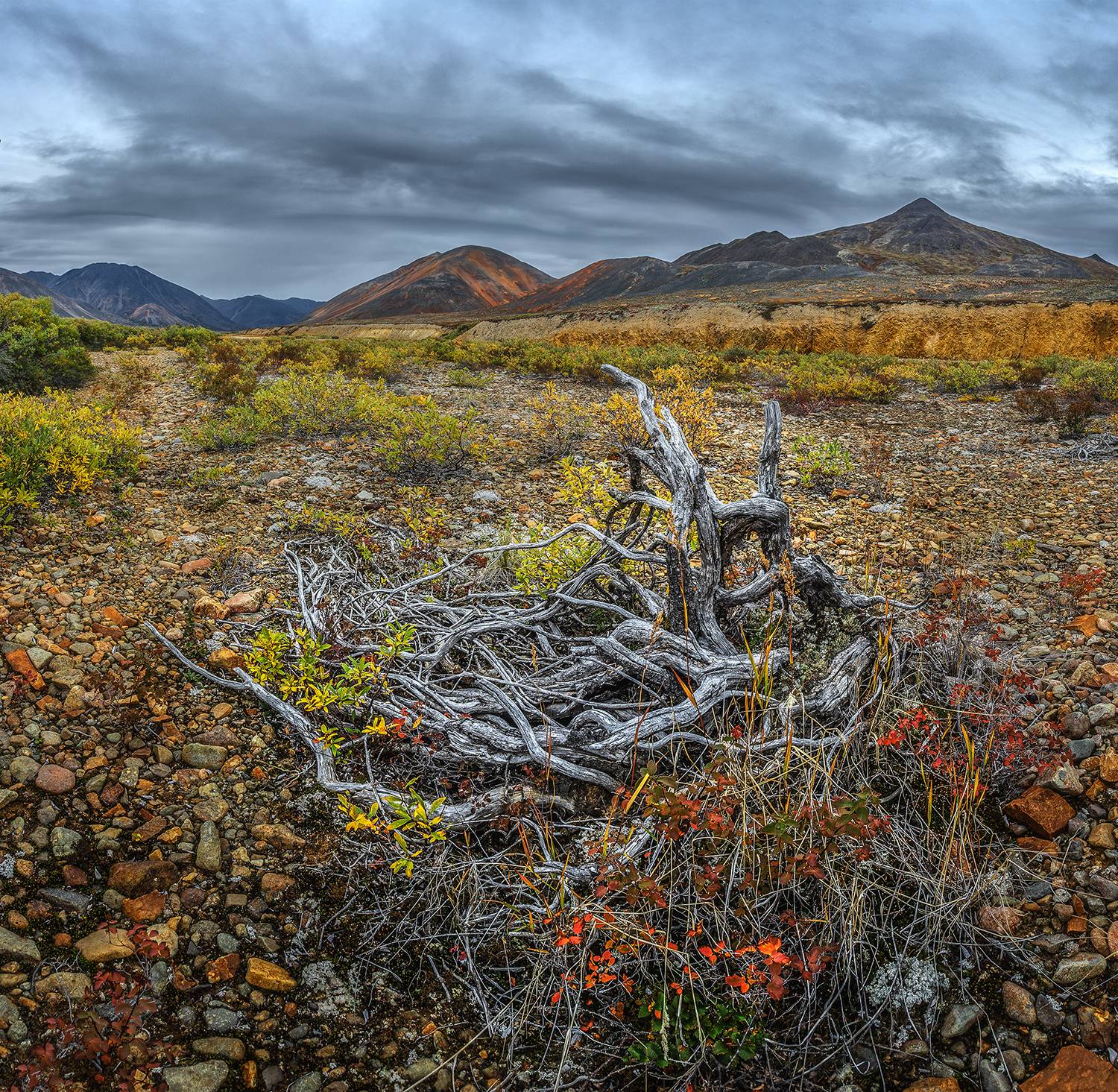 , Андреев Николай