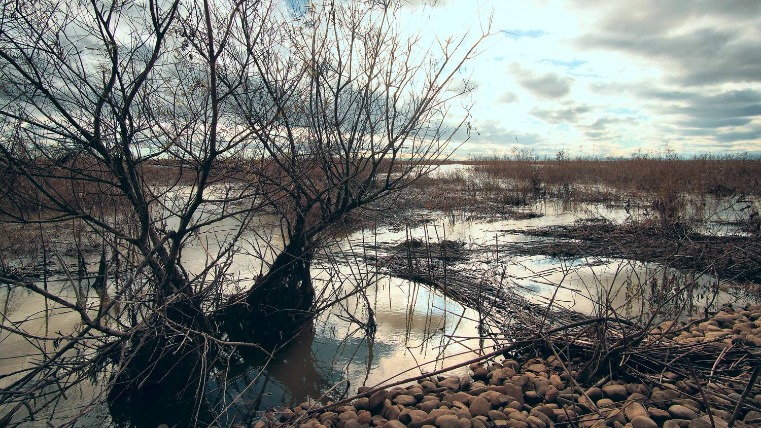 , Вадим Коваленко
