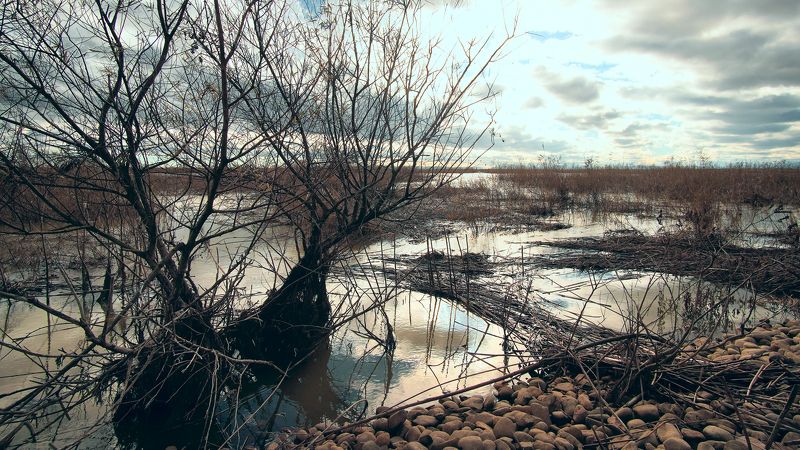 Осенняя охота фото превью