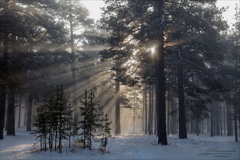 забайкальский край Минус 35 фото превью