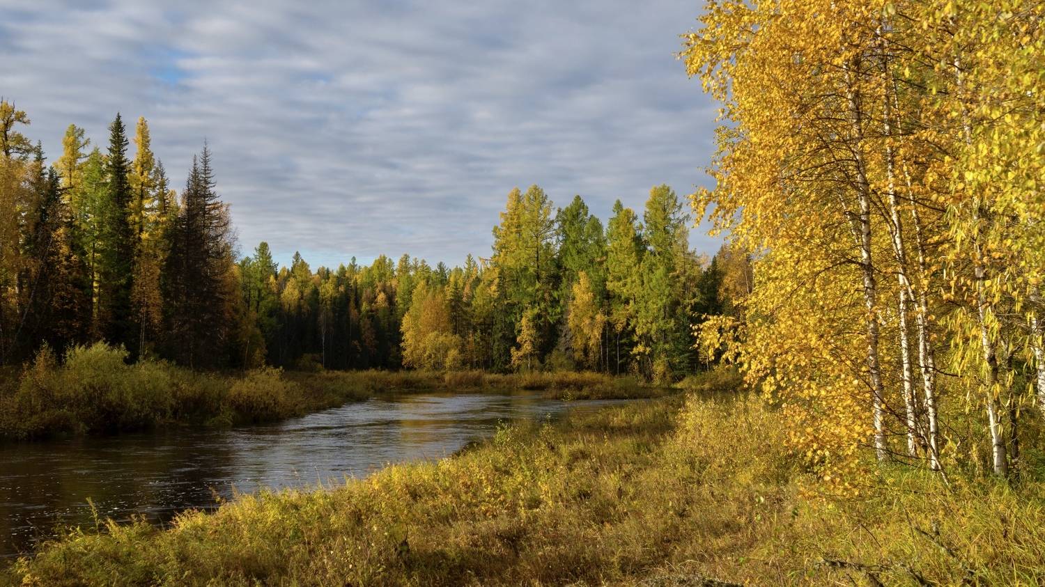 , Oleg Matronitskiy
