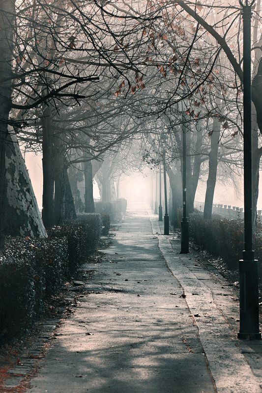 Foggy morning 3 фото превью
