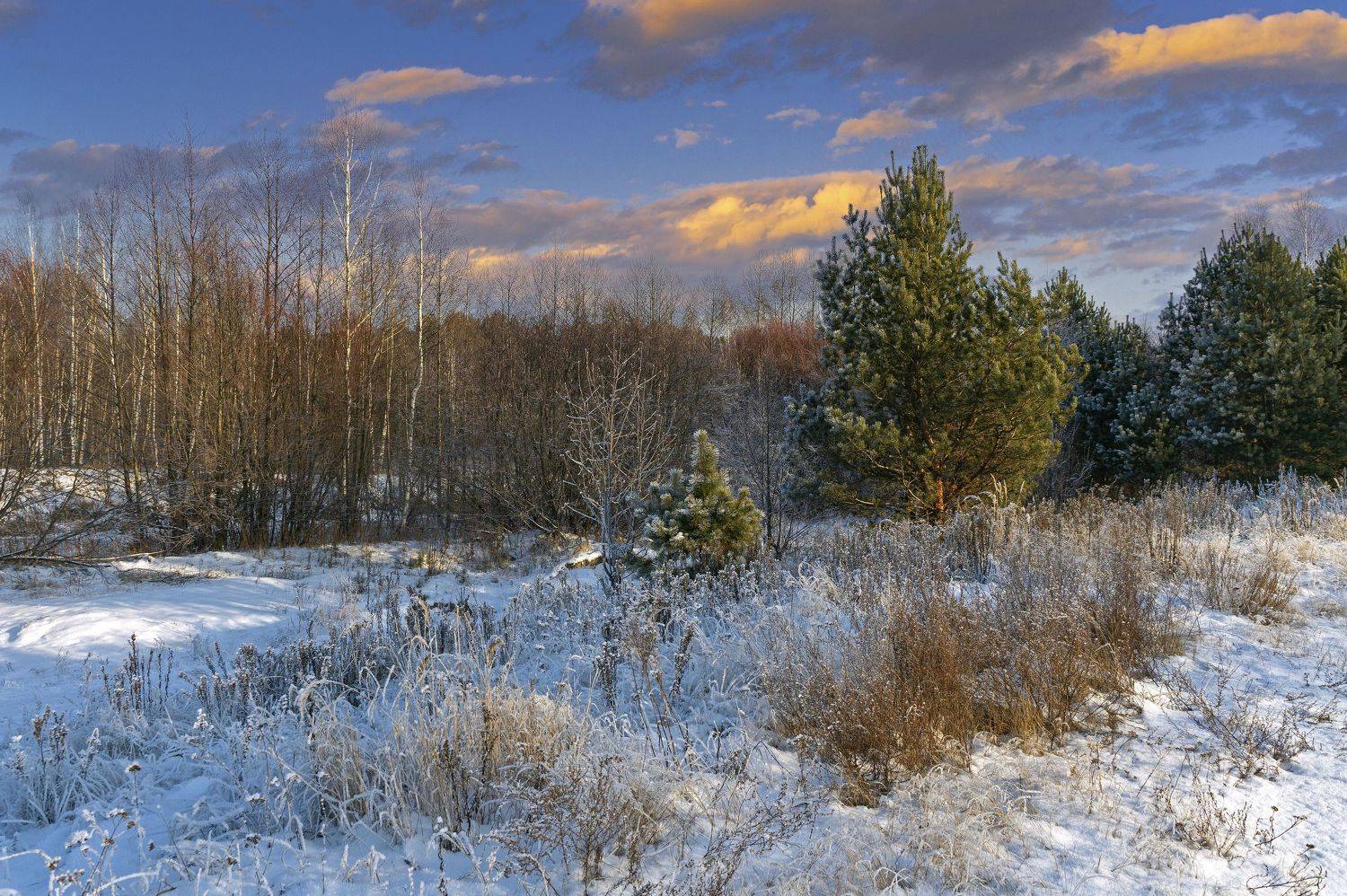 , Шитов Александр