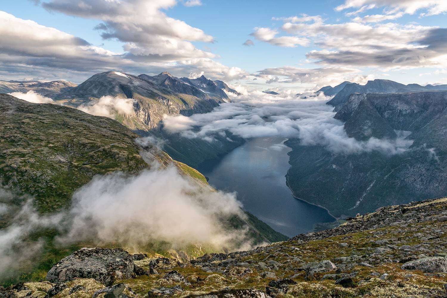 , Лариса Дука