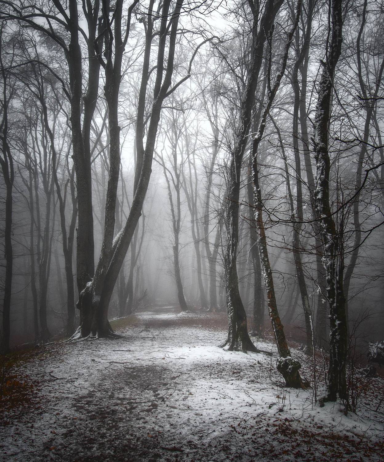 , Шевченко Юрий